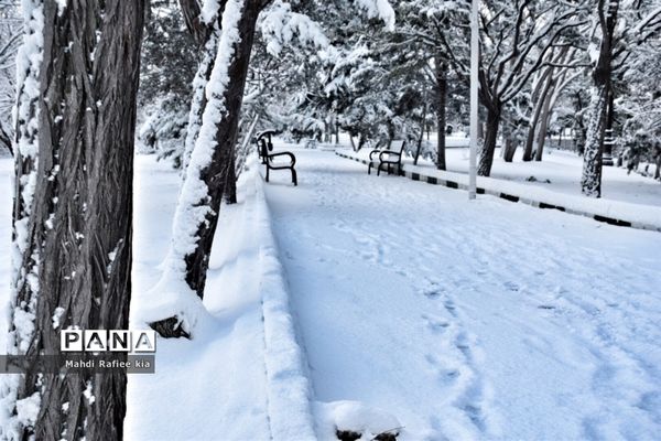 تبریز سفید پوش شد