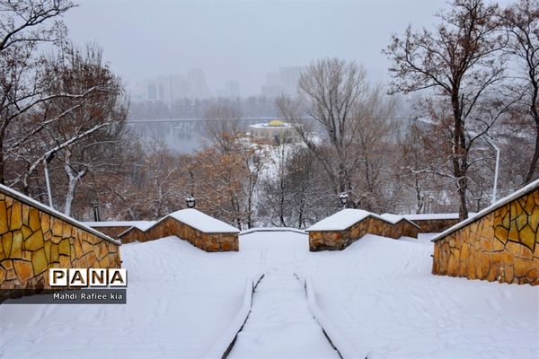 تبریز سفید پوش شد