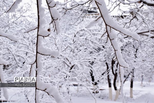 تبریز سفید پوش شد