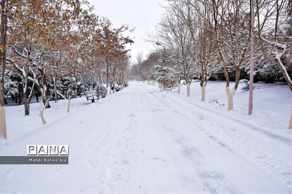 تبریز سفید پوش شد