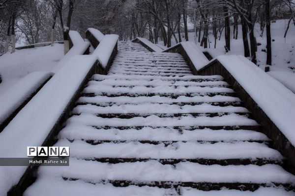 تبریز سفید پوش شد