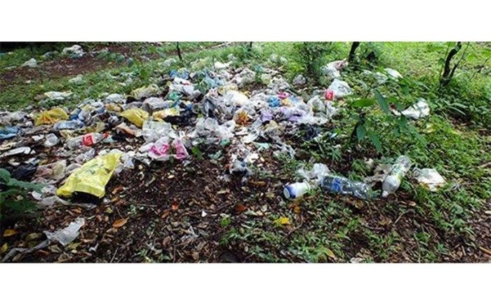 کاش یکی صدای بطری‌ها را بشنود