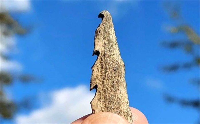 کشف سلاح‌هایی از جنس استخوان انسان