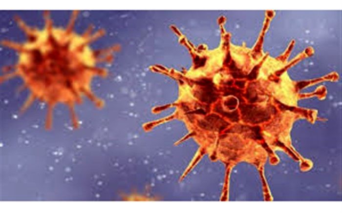 ۸۳ بیمار جدید کرونایی در بیمارستانهای گیلان بستری شدند