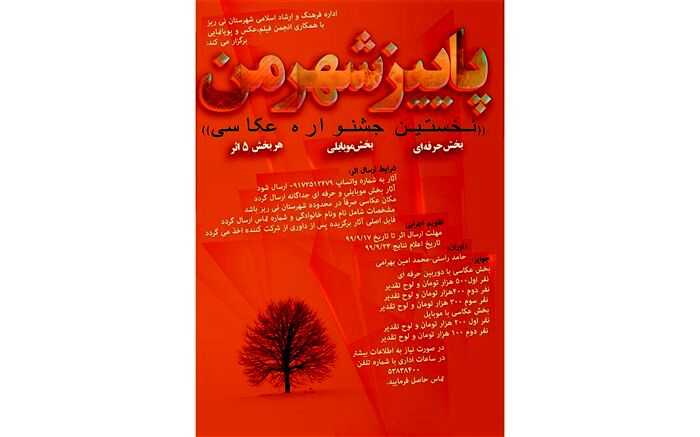 نفرات برتر جشنواره عکس " پاییز شهر من" در شهرستان نی ریز