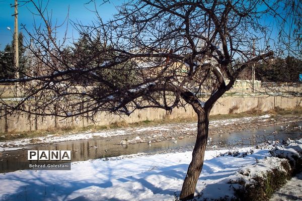 صبحگاه زمستانی در ارومیه