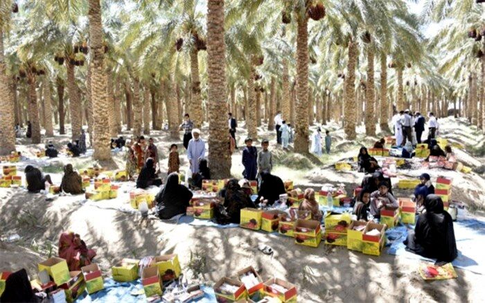 ٨٠ درصد خرمای میرجاوه به خارج از کشور صادر شد 