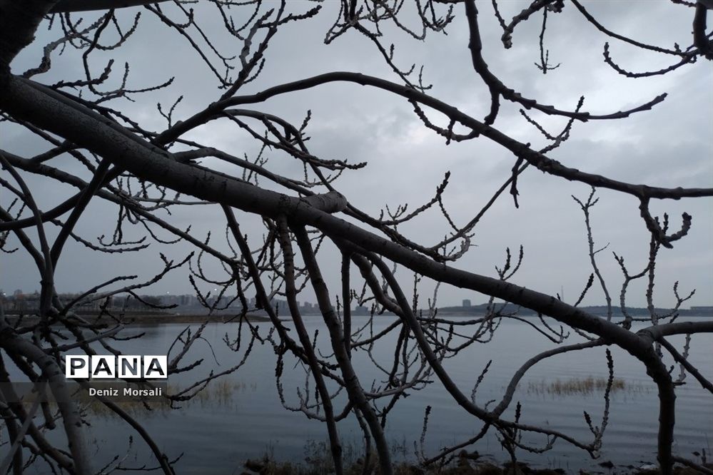 دریاچه شورابیل