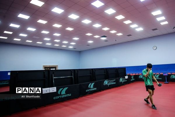 لیگ برتر تنیس روی میز