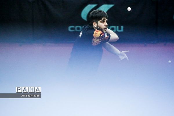 لیگ برتر تنیس روی میز