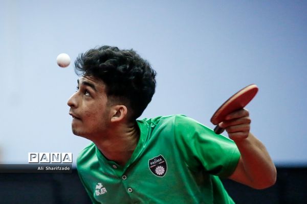 لیگ برتر تنیس روی میز