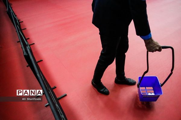 لیگ برتر تنیس روی میز