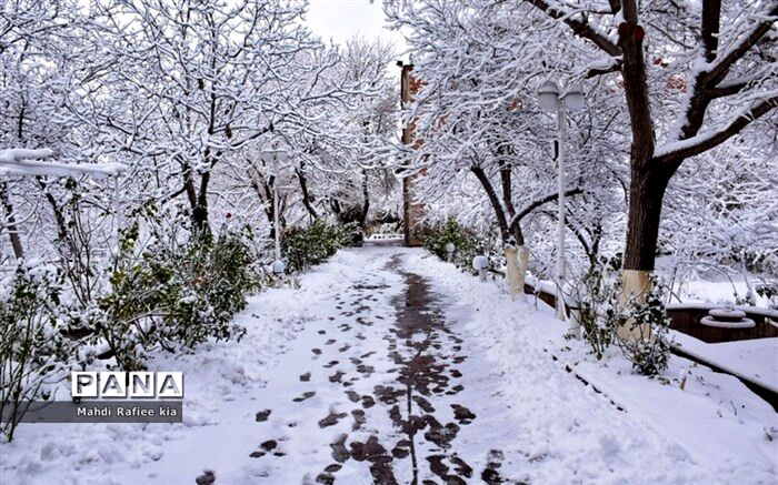 بارش پراکنده برف و باران در برخی استان‌های کشور
