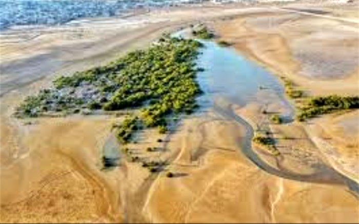 چه کسی مجوز تخریب تالاب خور‌بردستان‌ را صادر کرد؟