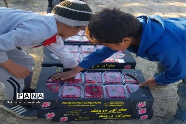 مزرعه پرورش توت فرنگی و گوجه فرنگی در  روستای درونک شهرستان امیدیه