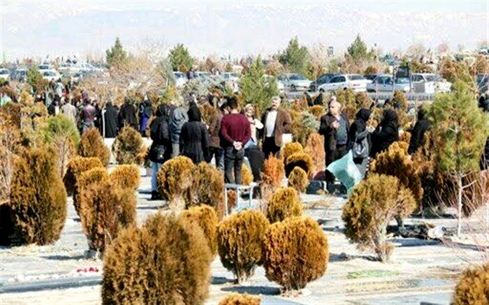 سودجویی از شهروندان داغدیده در وادی  الرحمت تبریز