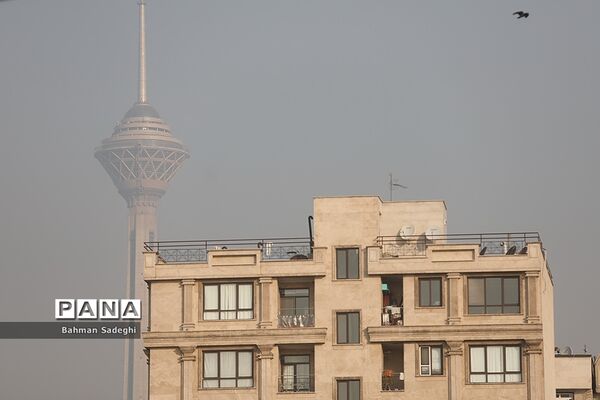 گمشده در دود