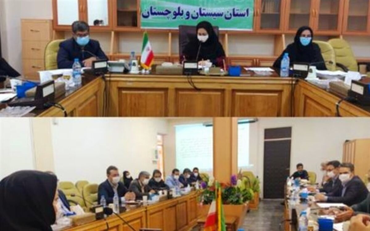 سیستان و بلوچستان در تامین گوشت قرمز کشور نقش آفرین است