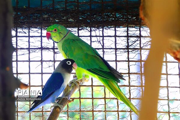 کانون فرهنگی تربیتی قدس