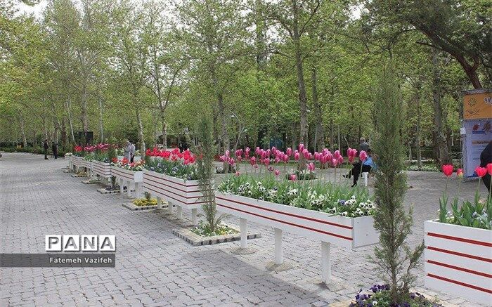 توضیحاتی درباره مرگ نوجوان ۱۴ ساله در پارک لاله