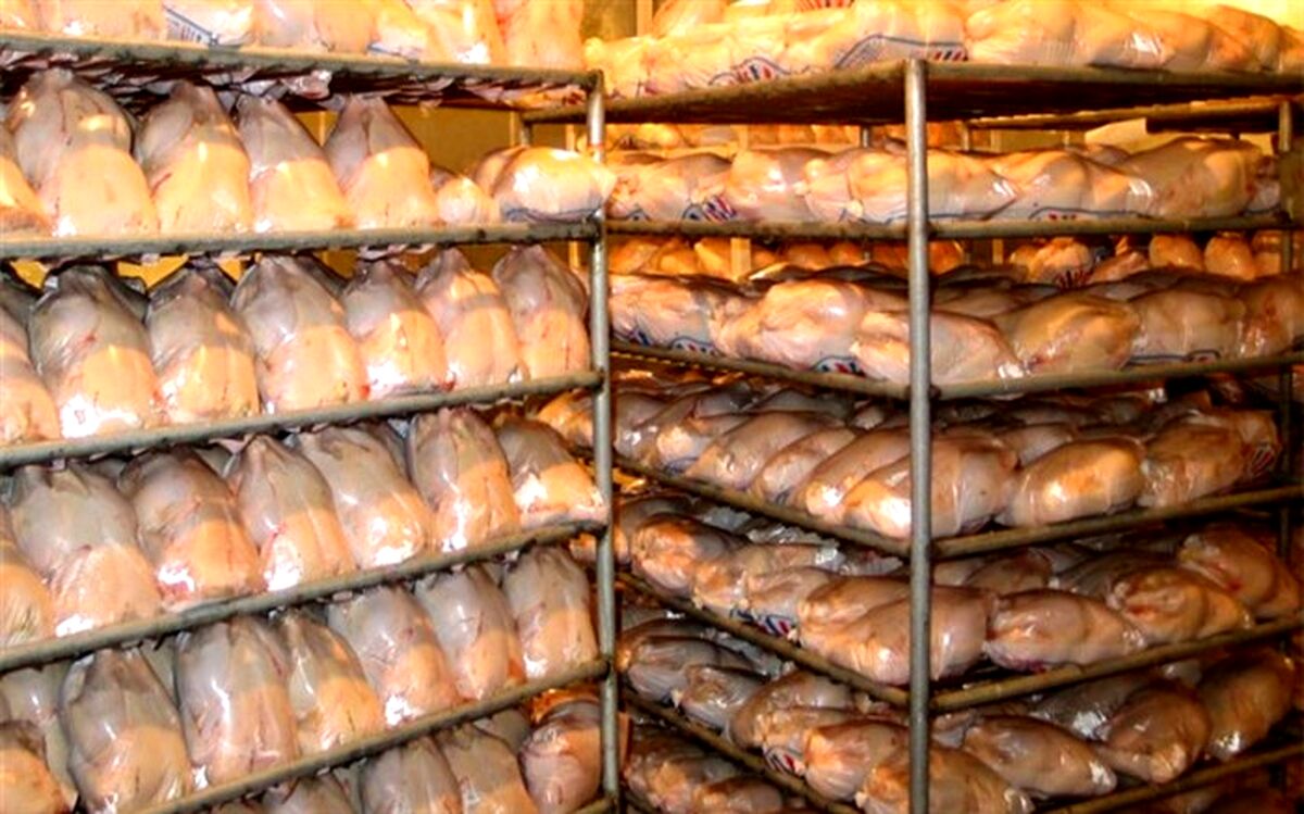 تولید 2260 تُن گوشت مرغ در چهارماهه اول سال 1399 در نی ریز                                                                                          