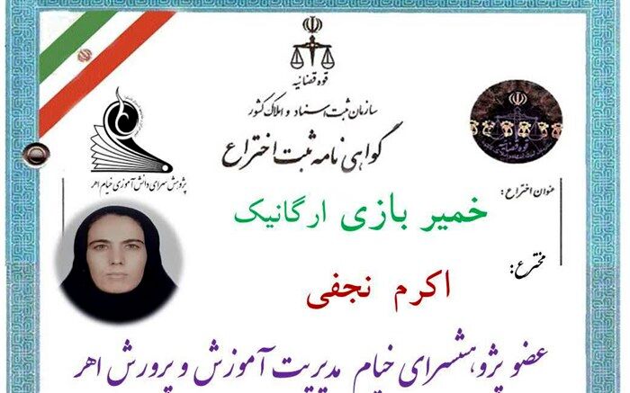 ثبت اختراع (خمیر بازی ارگانیک) توسط عضو پژوهشسرای خیام در اهر