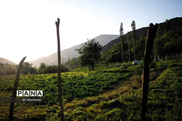 سفر به منطقه کوهستانی  البرز مرکزی