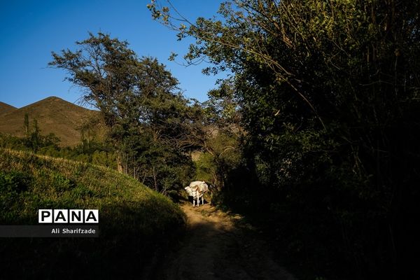 سفر به منطقه کوهستانی  البرز مرکزی