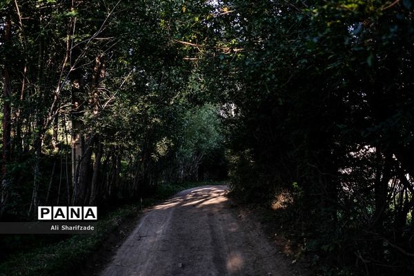 سفر به منطقه کوهستانی  البرز مرکزی