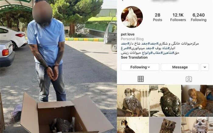 قاچاقچی حیات وحش در فضای مجازی، به دام افتاد