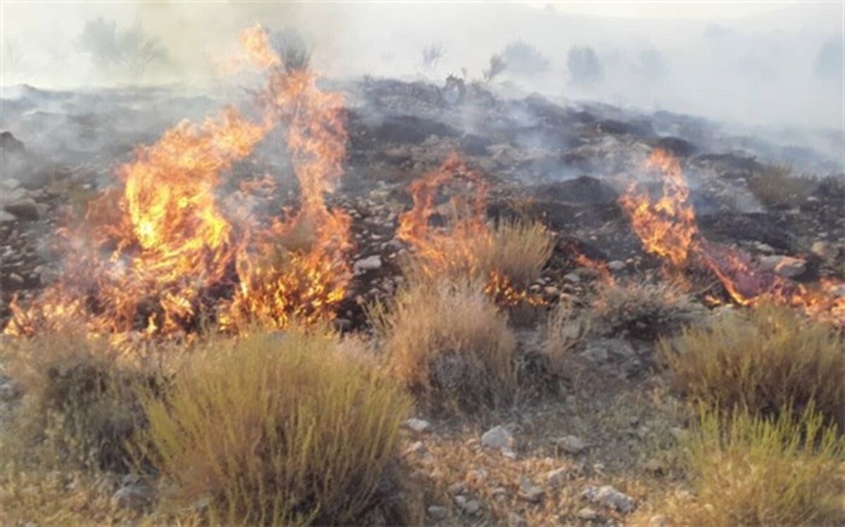 سیلی سرخ آتش بجان جنگلهای خاتم