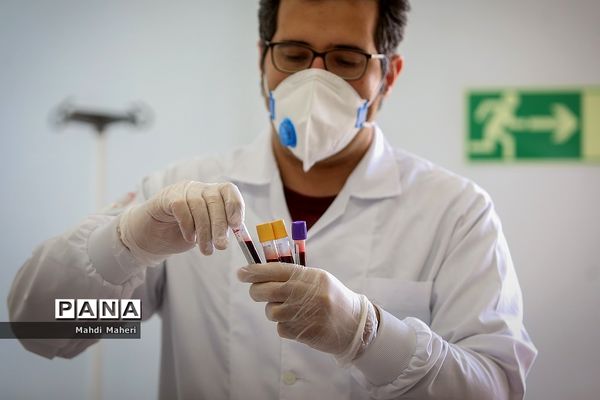 شکرانه سلامت