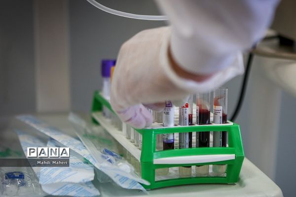 شکرانه سلامت