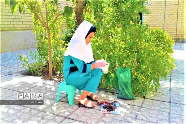 تصاویر فعالیت‌های مهارت محور دانش‌آموزان آباده در ایام  تعطیلات  تابستان