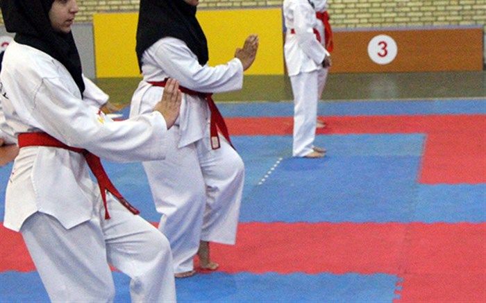 مربی تکواندو: امکانات مدارس برای آموزش تکواندو بسیار کم است