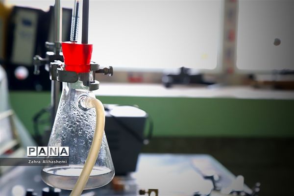 مدارس زیر سایه کرونا - 2