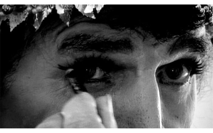 ۶ نمایش برای مستند «خرامان» در جشنواره های خارجی