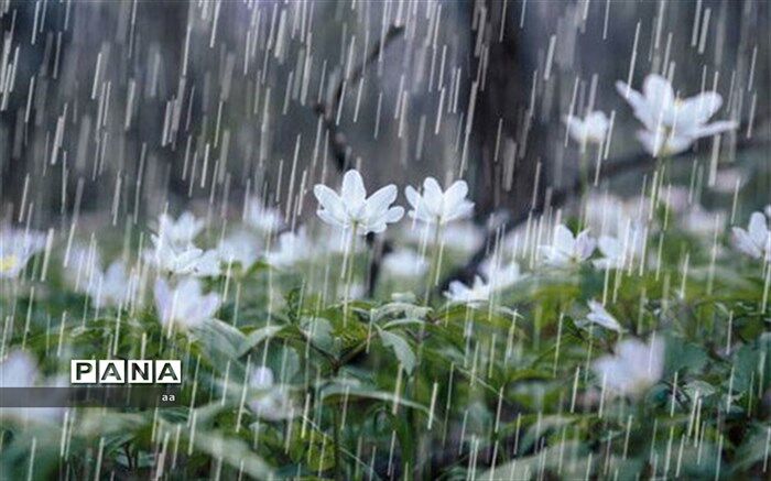 هفته آینده کدام مناطق کشور بارانی می شوند؟