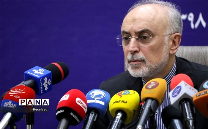صالحی: آژانس درخواست دیگری برای بازرسی ندارد