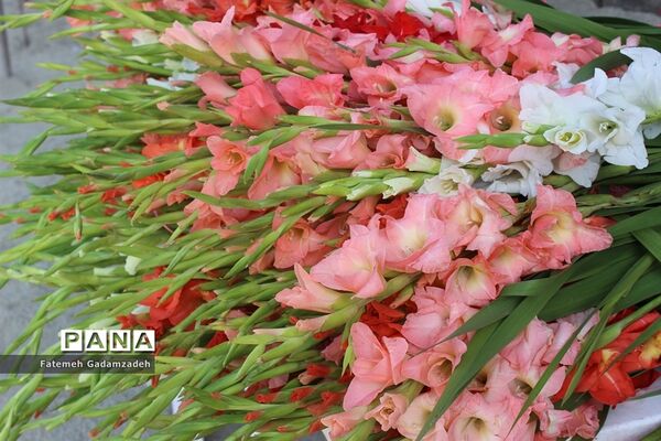 گلباران وعطر افشانی مزارشهدای هشت سال دفاع مقدس شهرستان اسلامشهر
