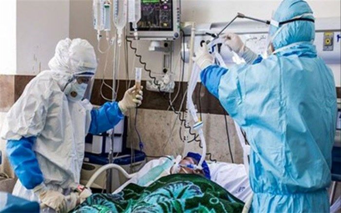 ۳۰۸ بیمار در بخش‌های کرونایی استان بوشهر بستری هستند