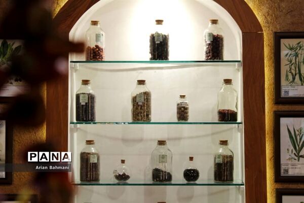 باغ موزه گیاهان دارویی و معطر استان زنجان