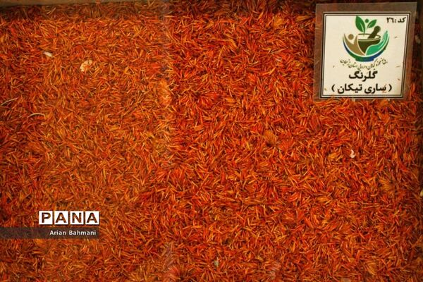 باغ موزه گیاهان دارویی و معطر استان زنجان