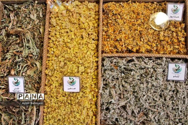 باغ موزه گیاهان دارویی و معطر استان زنجان