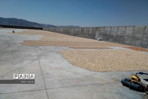 برداشت پسته در قطب پسته استان فارس، نی‌ریز