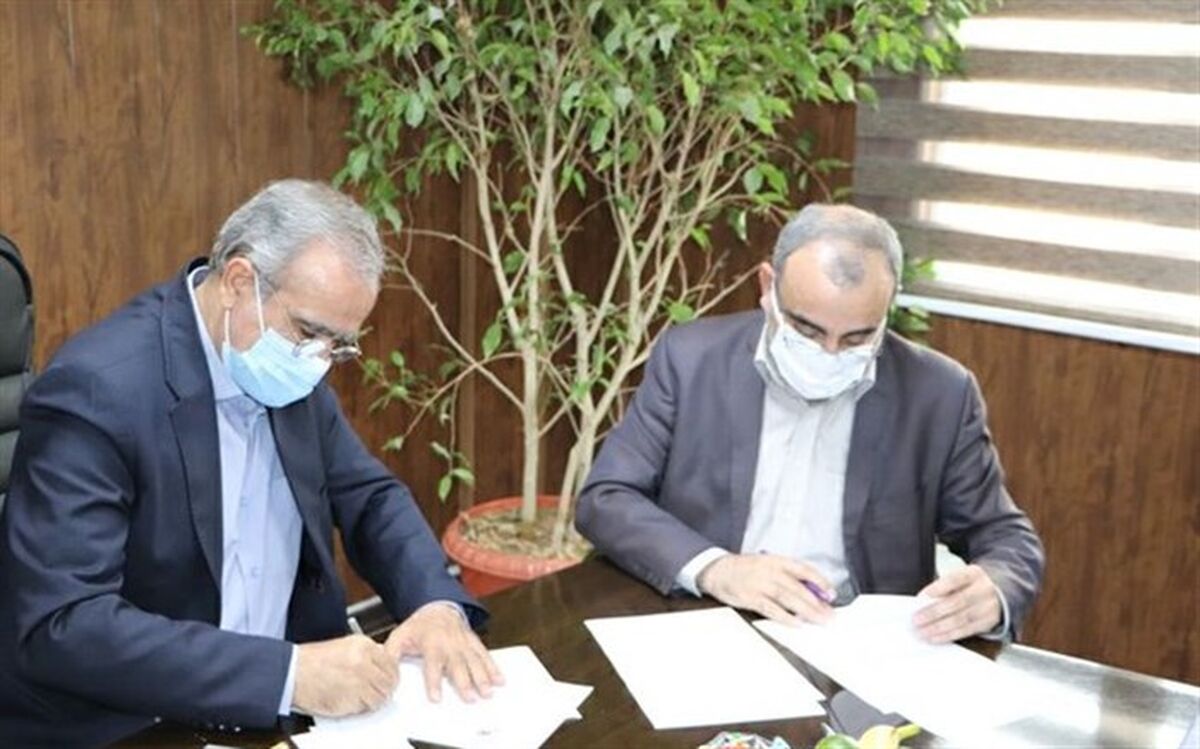 ۲۹۶ سالن سینما با سرمایه‌گذاری بخش خصوصی در کشور احداث می‌شود