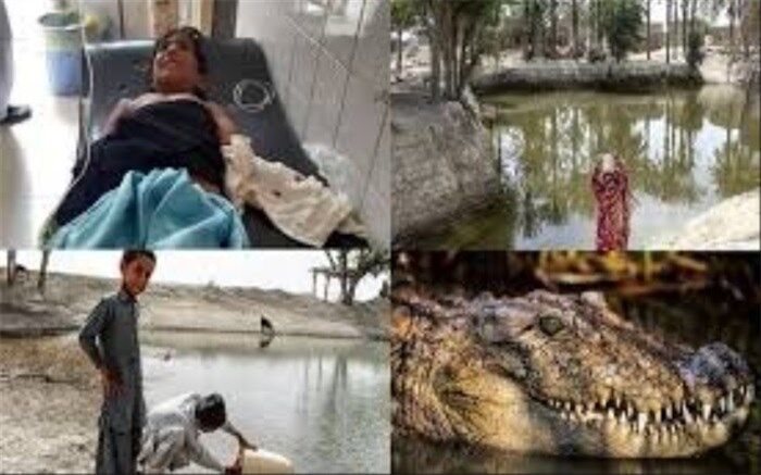جدال نابرابر کودکان بلوچستان با «گاندو»