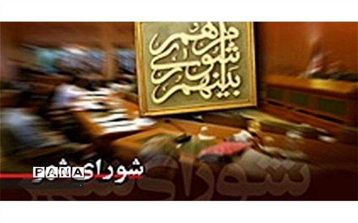 اعضای شورای شهر به گرفتن عکس و مصاحبه اکتفا کرده‌اند