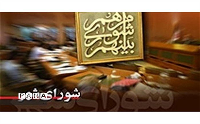 اعضای شورای شهر به گرفتن عکس و مصاحبه اکتفا کرده‌اند