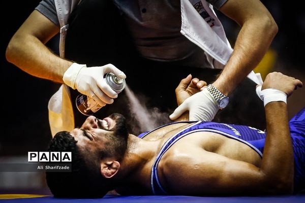 لیگ برتر کشتی آزاد